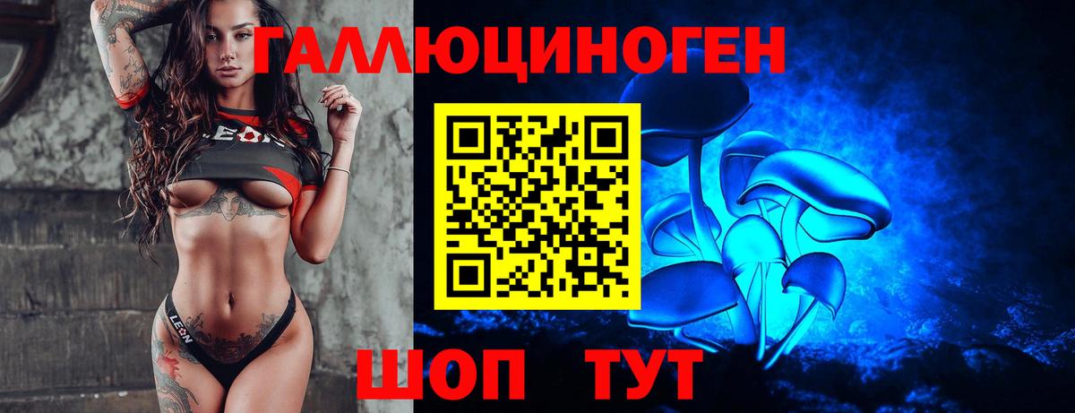 Галлюциногенные грибы Psilocybe  закладка  Калининград  Вход с VPN 